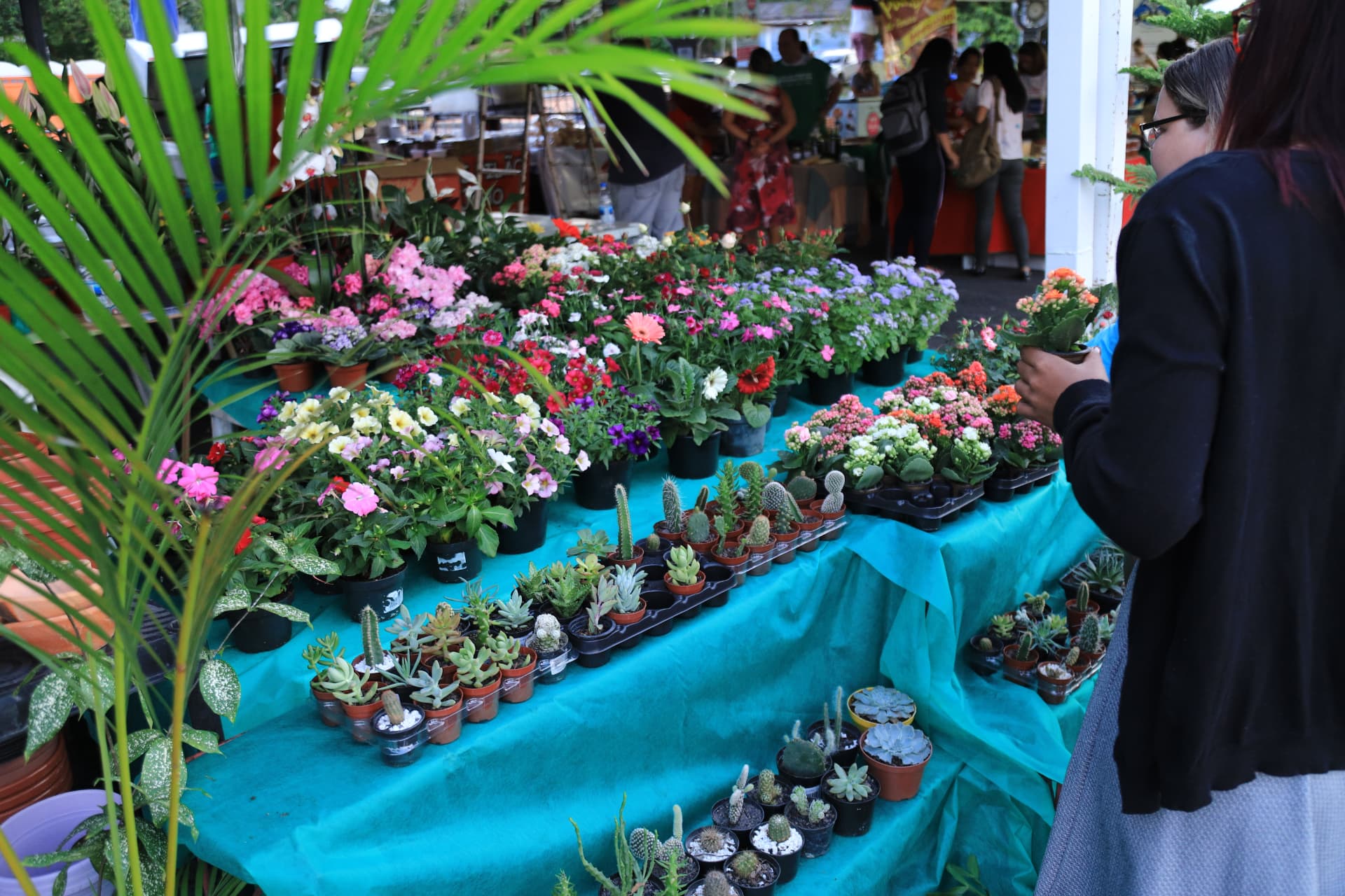 Feira de flores e plantas