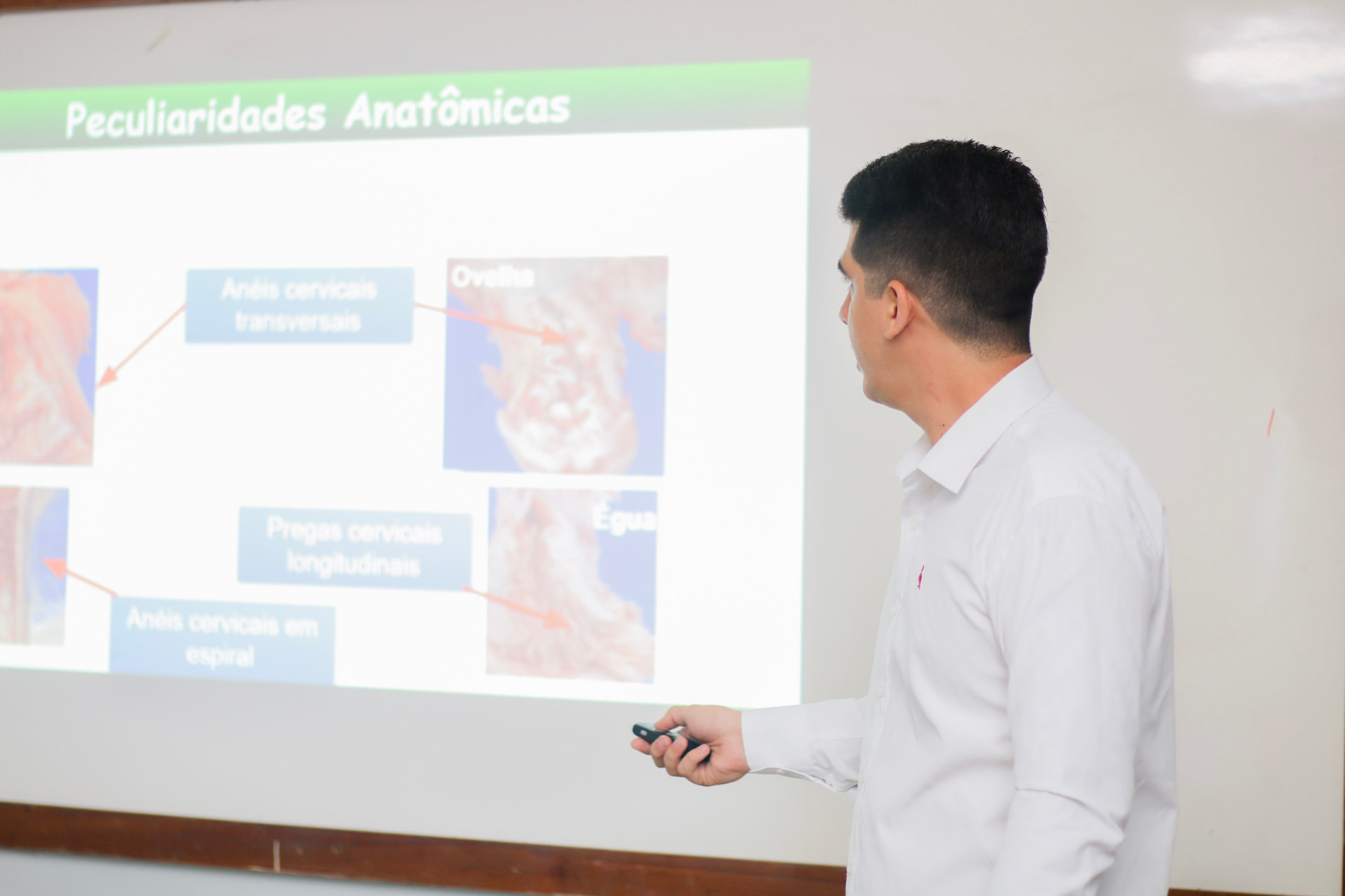 Palestra de anatomia animal